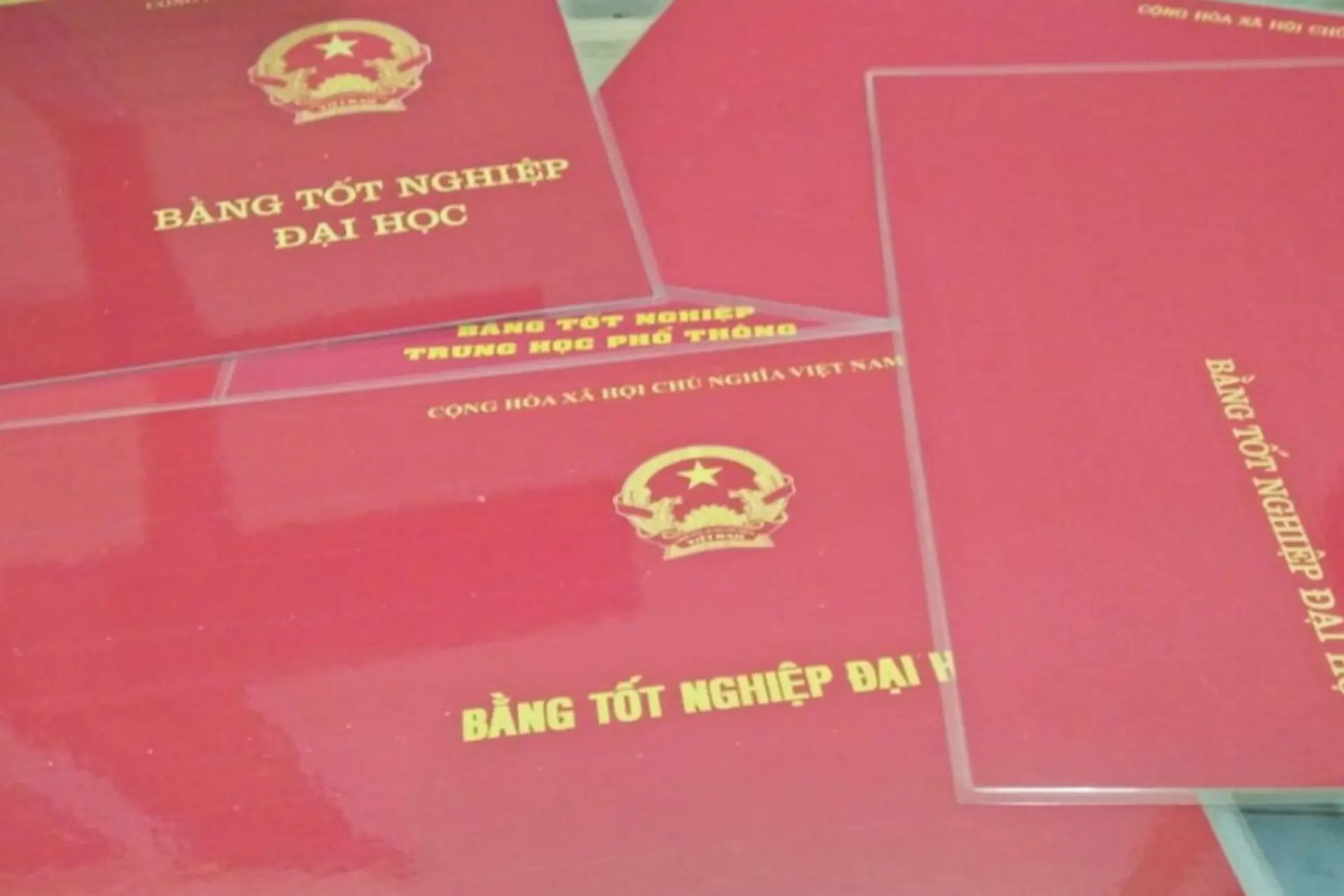 Mua bằng đại học có bị phạt không? Hành vi sử dụng bằng giả bị xử lý ra sao?