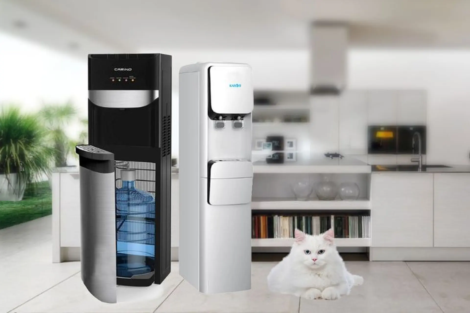 Mua cây nước nóng lạnh ở đâu tại Bến Tre? Khám phá những địa chỉ uy tín và sản phẩm chất lượng