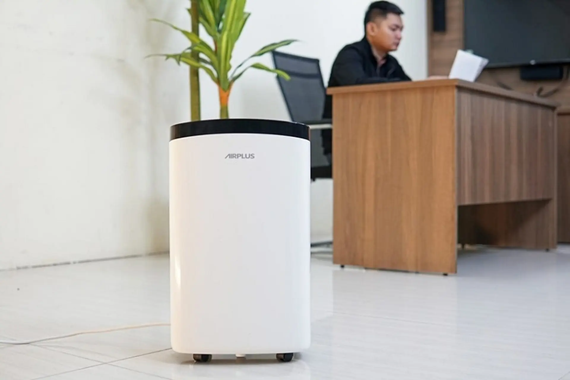 Mua máy hút ẩm ở đâu tại quận Ba Đình: Gợi ý những địa chỉ uy tín nhất để tìm "cứu cánh" trong mùa nồm