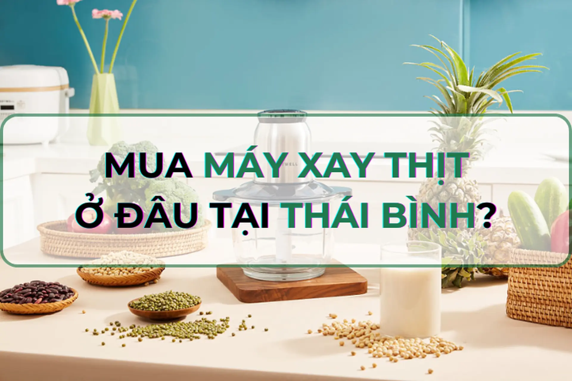 Mua máy xay thịt ở đâu tại Thái Bình giá tốt và chính hãng? Điểm danh 3 loại máy xay thịt nên mua