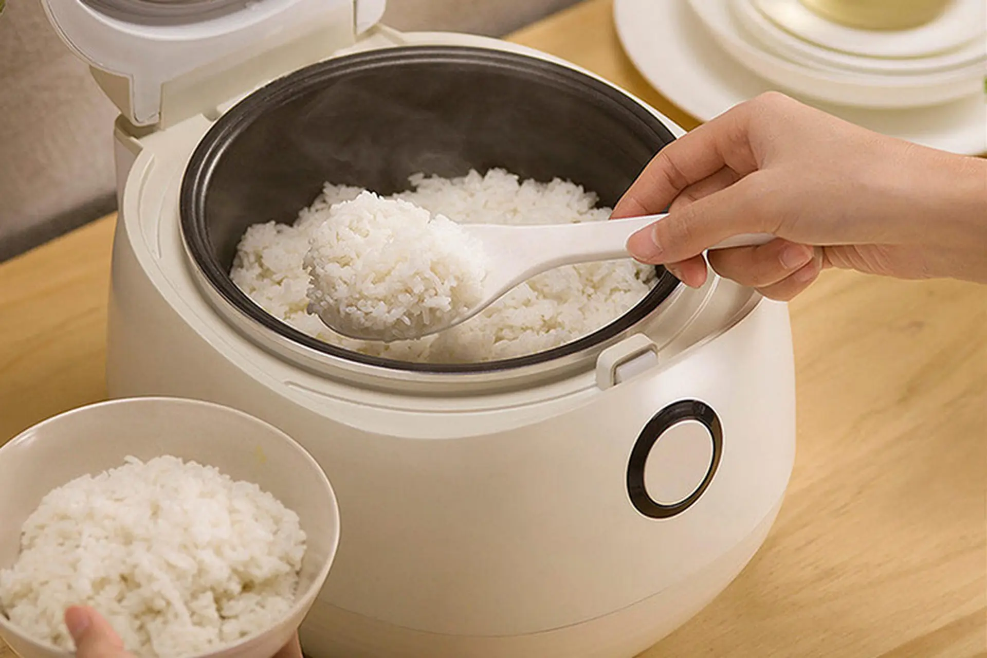 Mua nồi cơm điện ở đâu tại Vũng Tàu uy tín, giá rẻ và có đa dạng sản phẩm chất lượng?