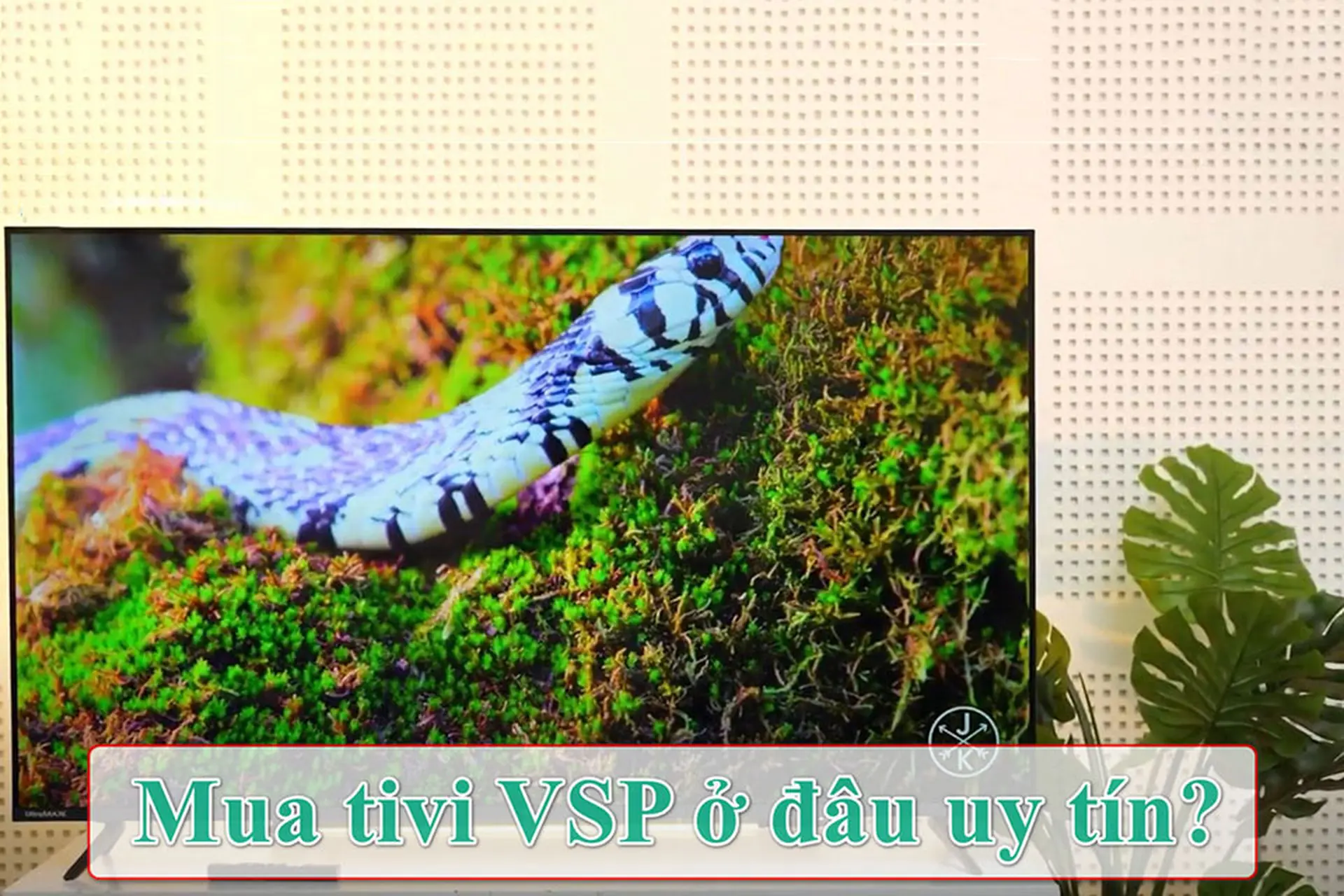 Giải đáp: Mua tivi VSP ở đâu uy tín để không lo hàng giả, không sợ mất tiền oan?