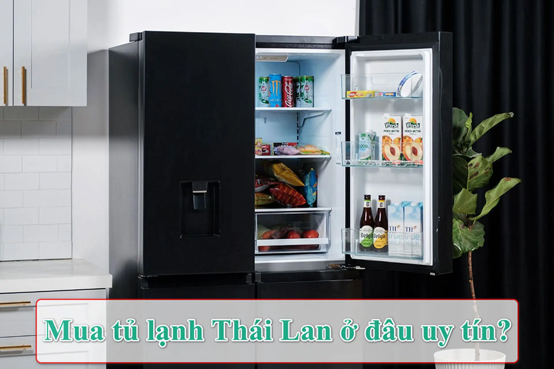 Giải đáp: Mua tủ lạnh Thái Lan ở đâu uy tín, hàng chính hãng, bảo hành rõ ràng?