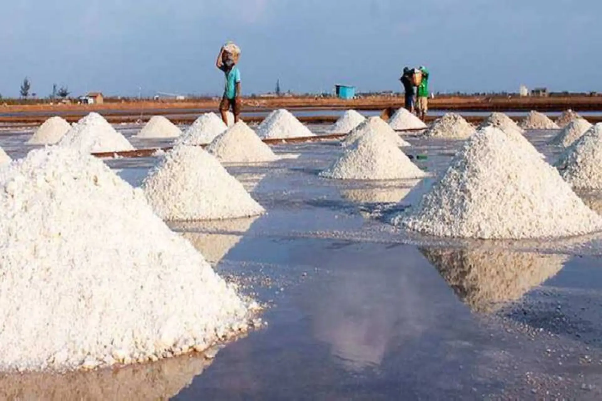 Muối biển là gì? Tìm hiểu thành phần và những tác dụng nổi bật của muối biển