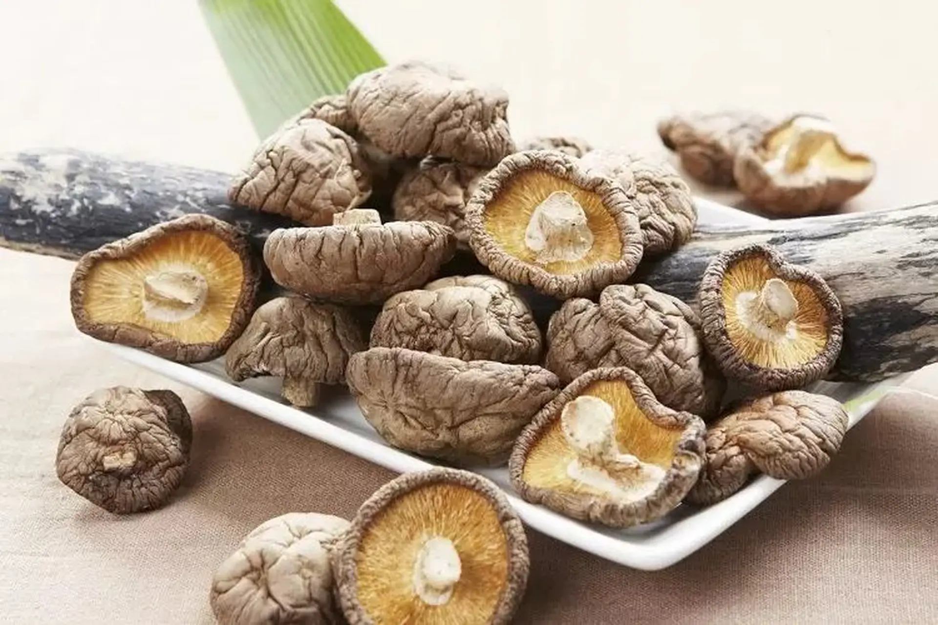 Nấm hương khô có những đặc điểm gì? Hướng dẫn cách lựa nấm hương khô ngon nhất