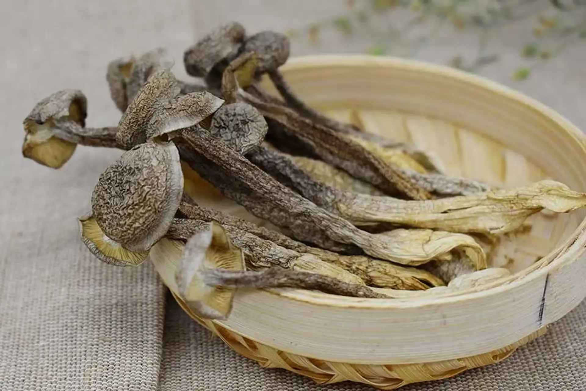 Gửi Nấm Nhung Khô Đi Đài Loan – Hàng Đến Tận Tay, Giữ Trọn Dinh Dưỡng