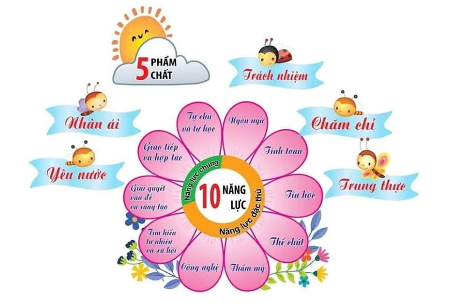 Tìm hiểu năng lực chung và năng lực đặc thù trong chương trình giáo dục tổng thể