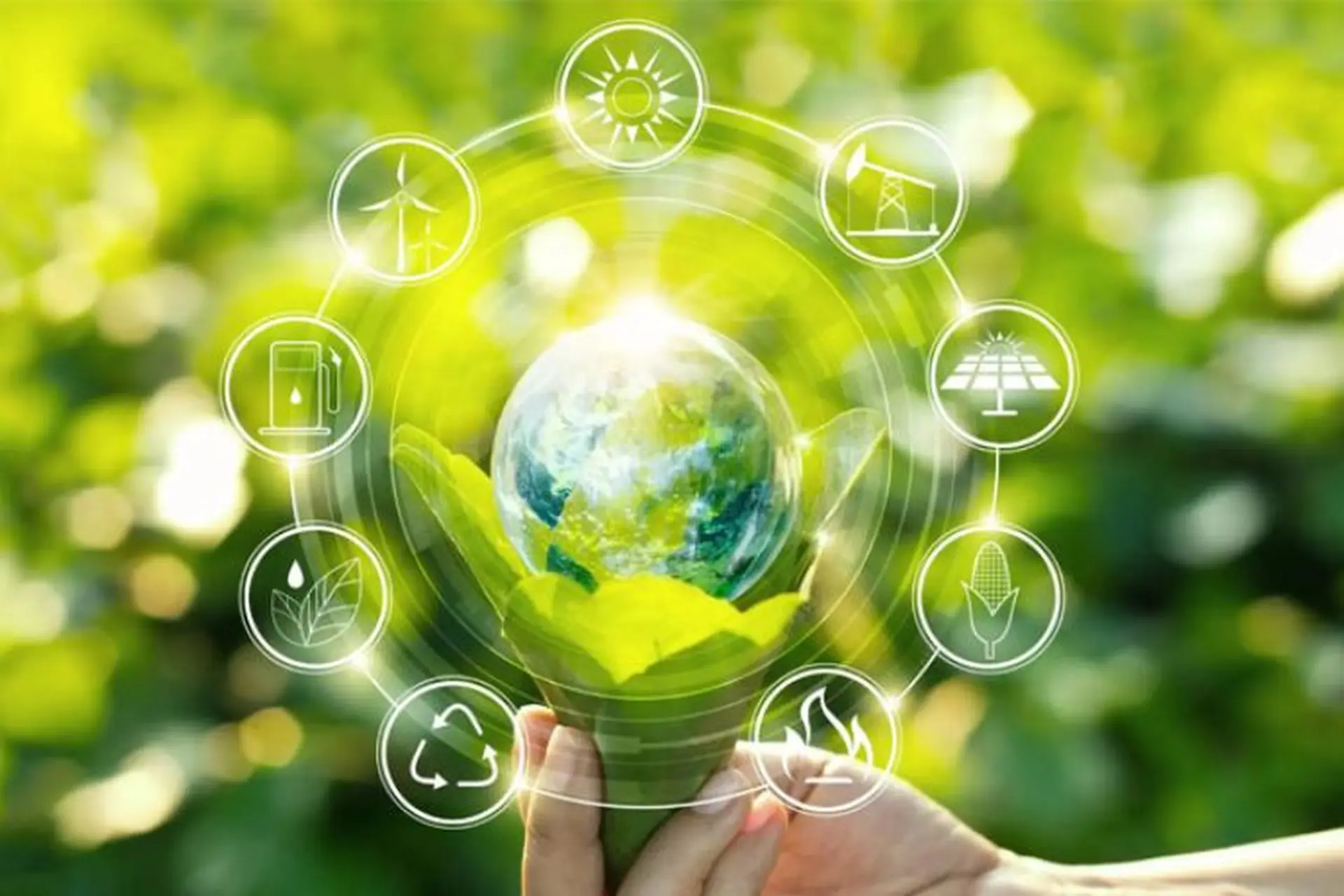 Năng lượng xanh: Khái niệm, phân loại và những lợi ích có thể bạn chưa biết