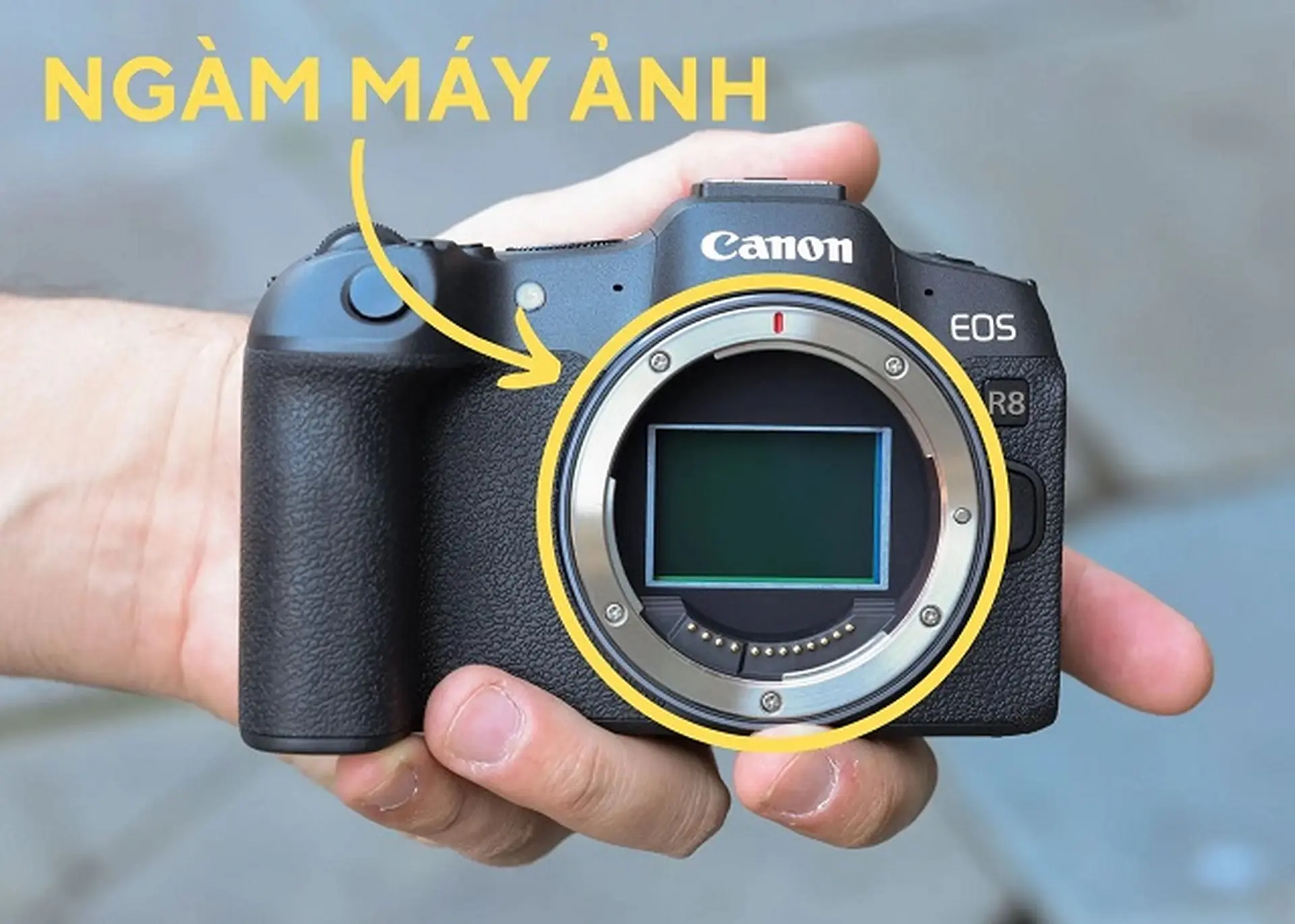 Ngàm là gì? Các loại ngàm phổ biến và hướng dẫn cách chọn ngàm máy ảnh hiệu quả