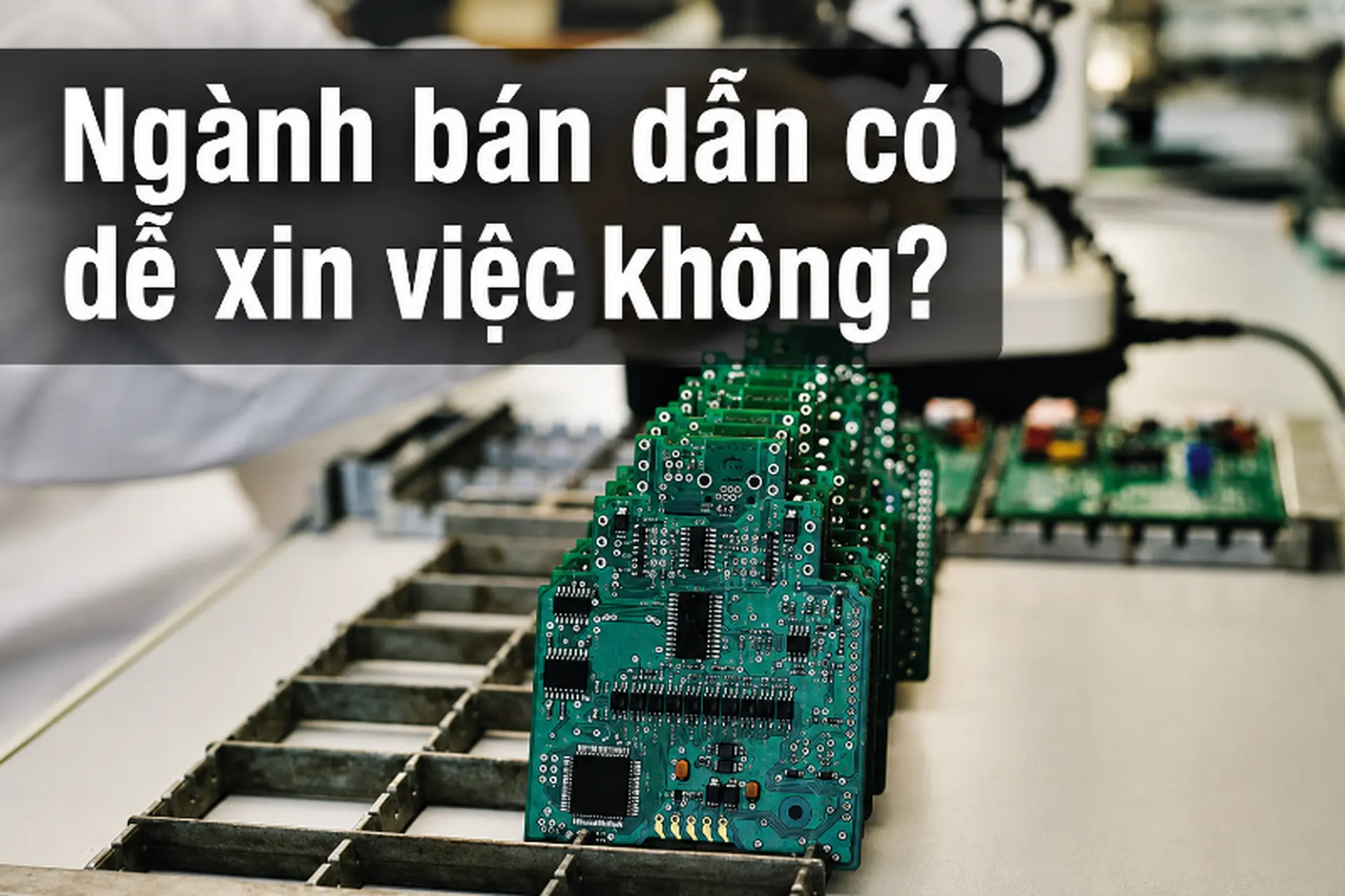 Ngành bán dẫn có dễ xin việc không? Cơ hội nghề nghiệp và triển vọng phát triển