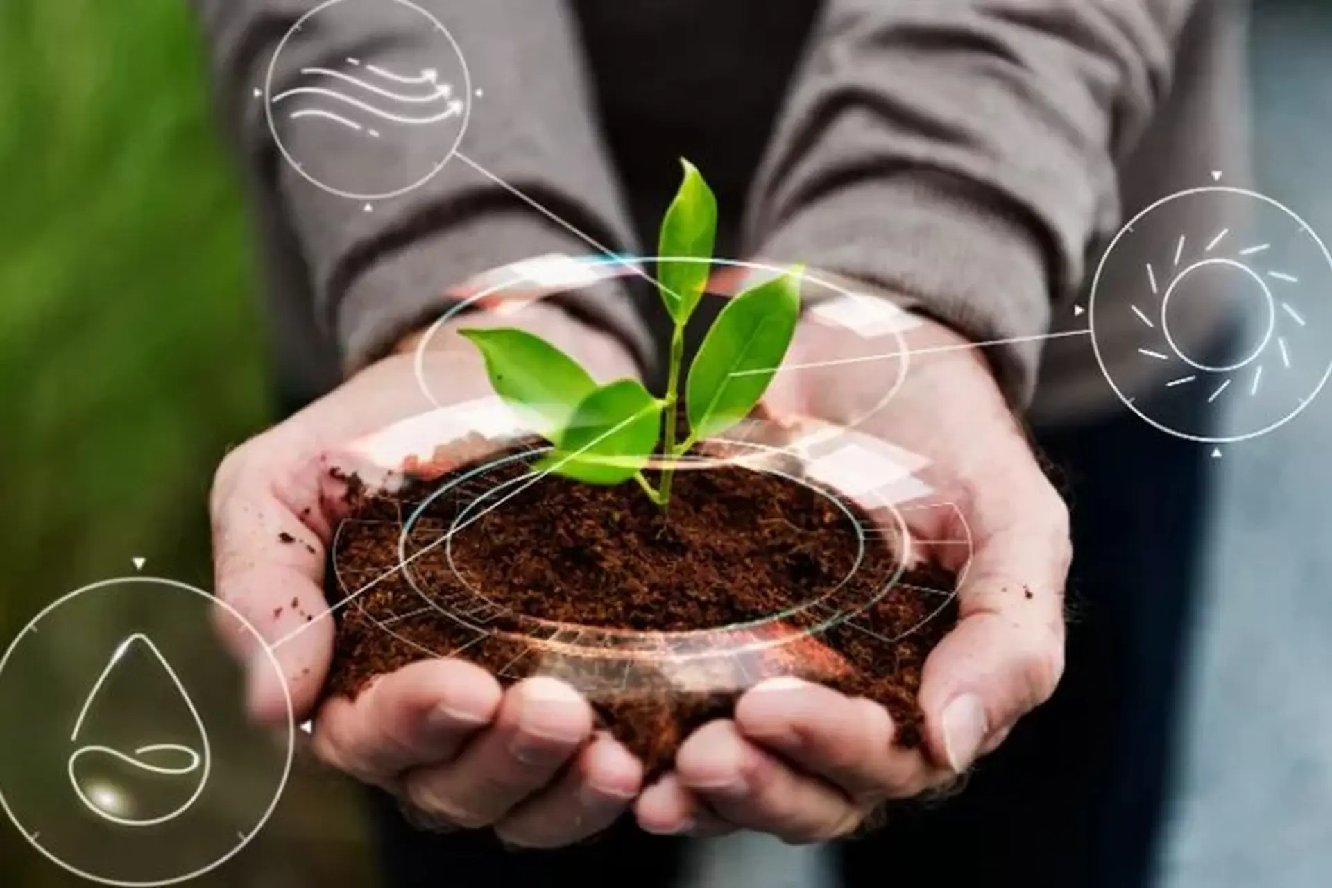 Ngành Nông nghiệp: Thi khối nào, học những môn gì, học ở đâu và ra trường làm gì?