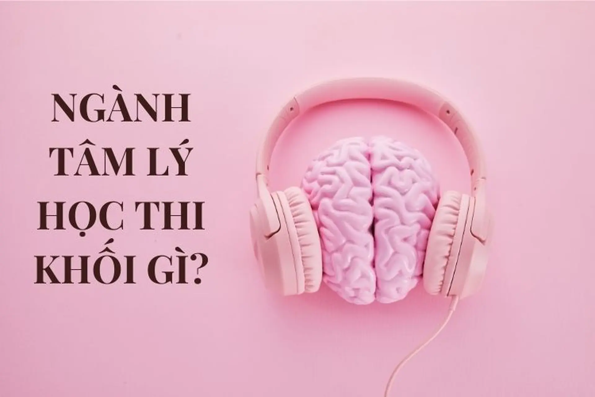 Ngành Tâm lý học thi khối gì? Những điều bạn cần biết khi chọn ngành Tâm lý học