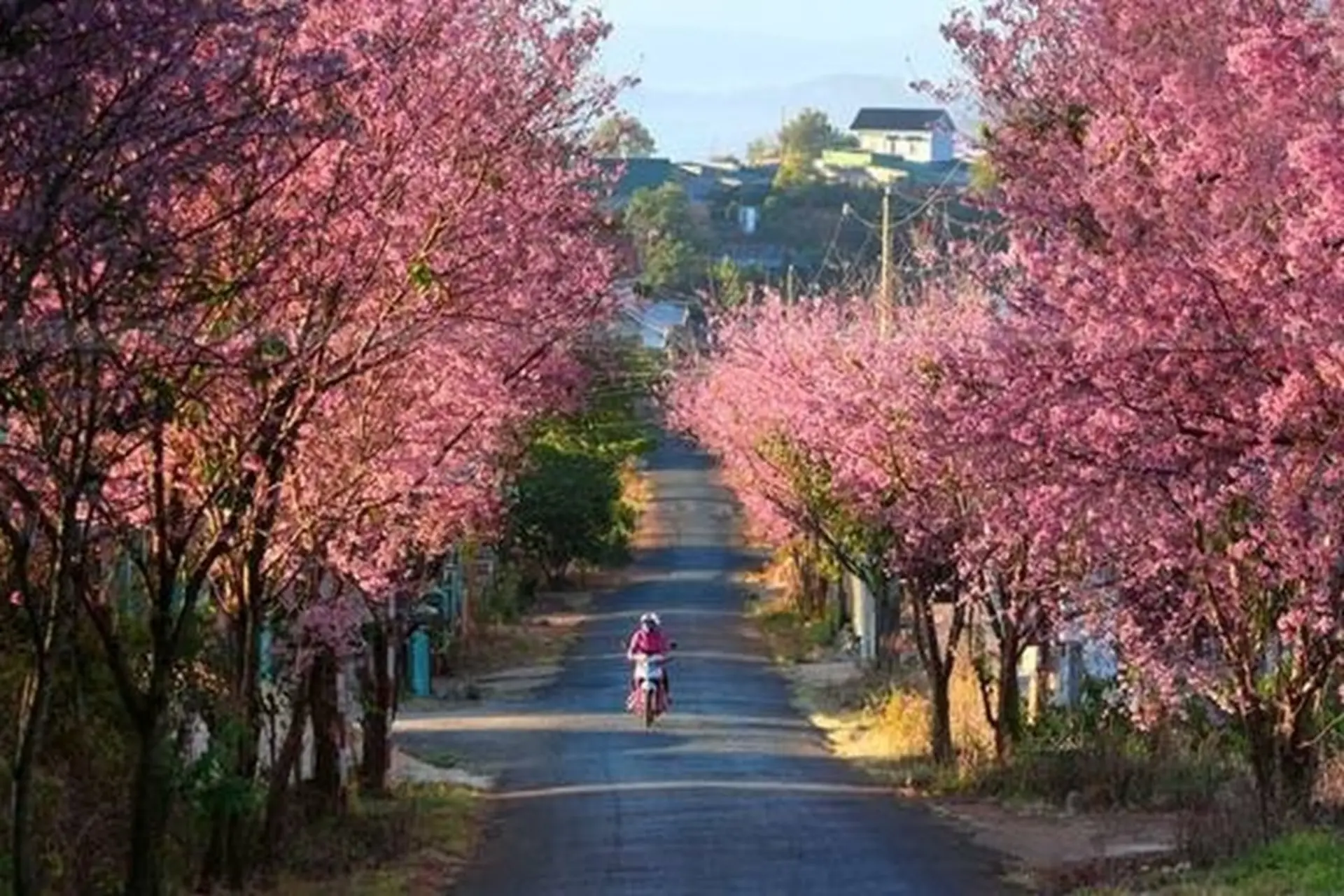 Ngày đẹp tháng 1 2026: Đầy đủ Dương - Âm lịch để chọn ngày cưới hỏi, khai trương, xuất hành chuẩn nhất
