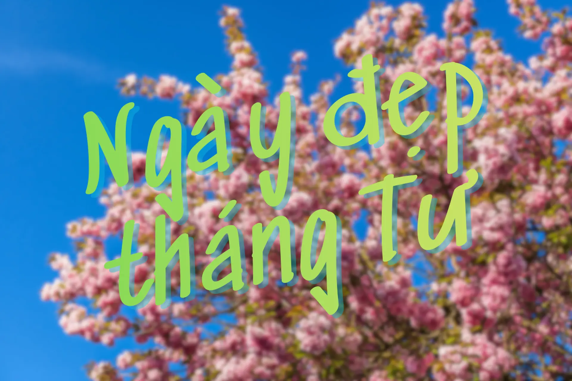 Ngày đẹp tháng 4 2026 là ngày nào? Gợi ý ngày phù hợp để an tâm khởi sự theo từng nhu cầu phổ biến