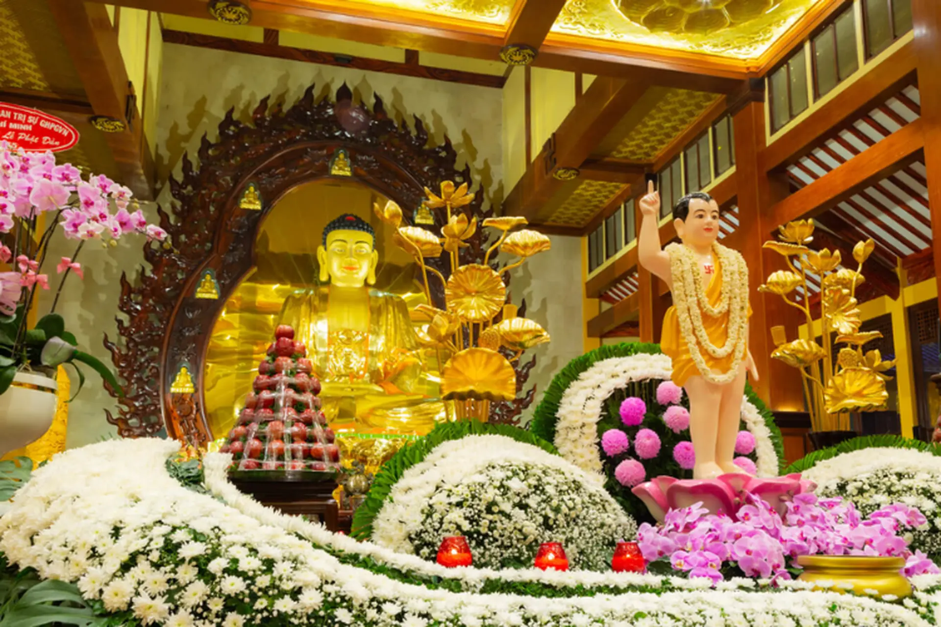 Ngày lễ Phật Đản là ngày gì? Tìm hiểu nguồn gốc, ý nghĩa và các hoạt động đặc sắc