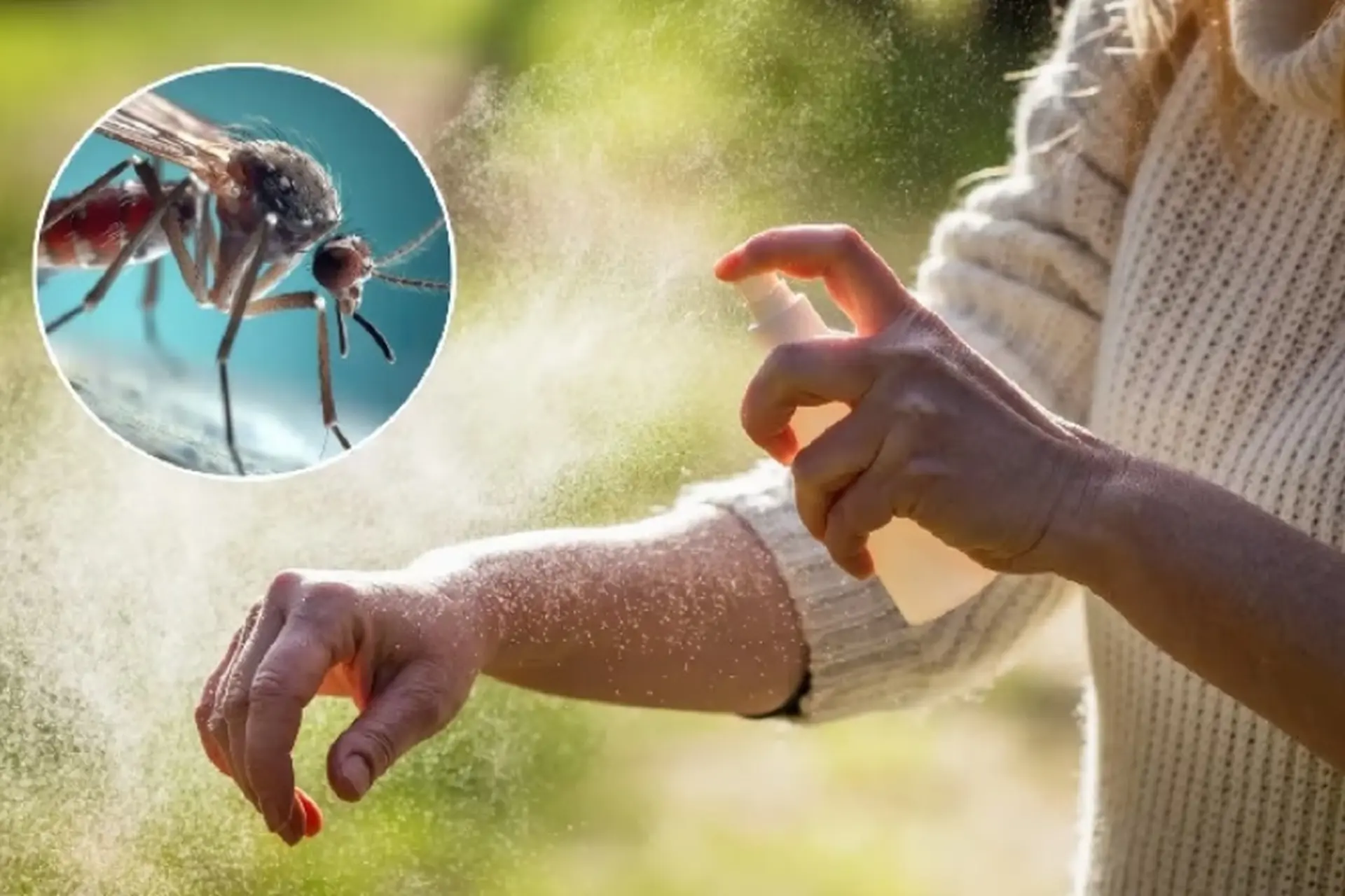 Vì sao có người hay bị muỗi đốt hơn những người khác? 8 lý do dưới đây sẽ khiến bạn bất ngờ! 