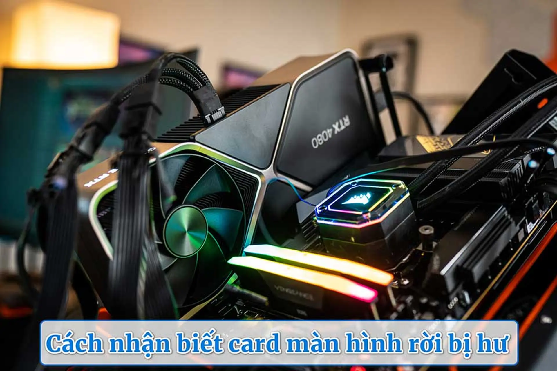 Cách nhận biết card màn hình rời bị hư: Những dấu hiệu nhỏ nhưng rất dễ bị bỏ qua
