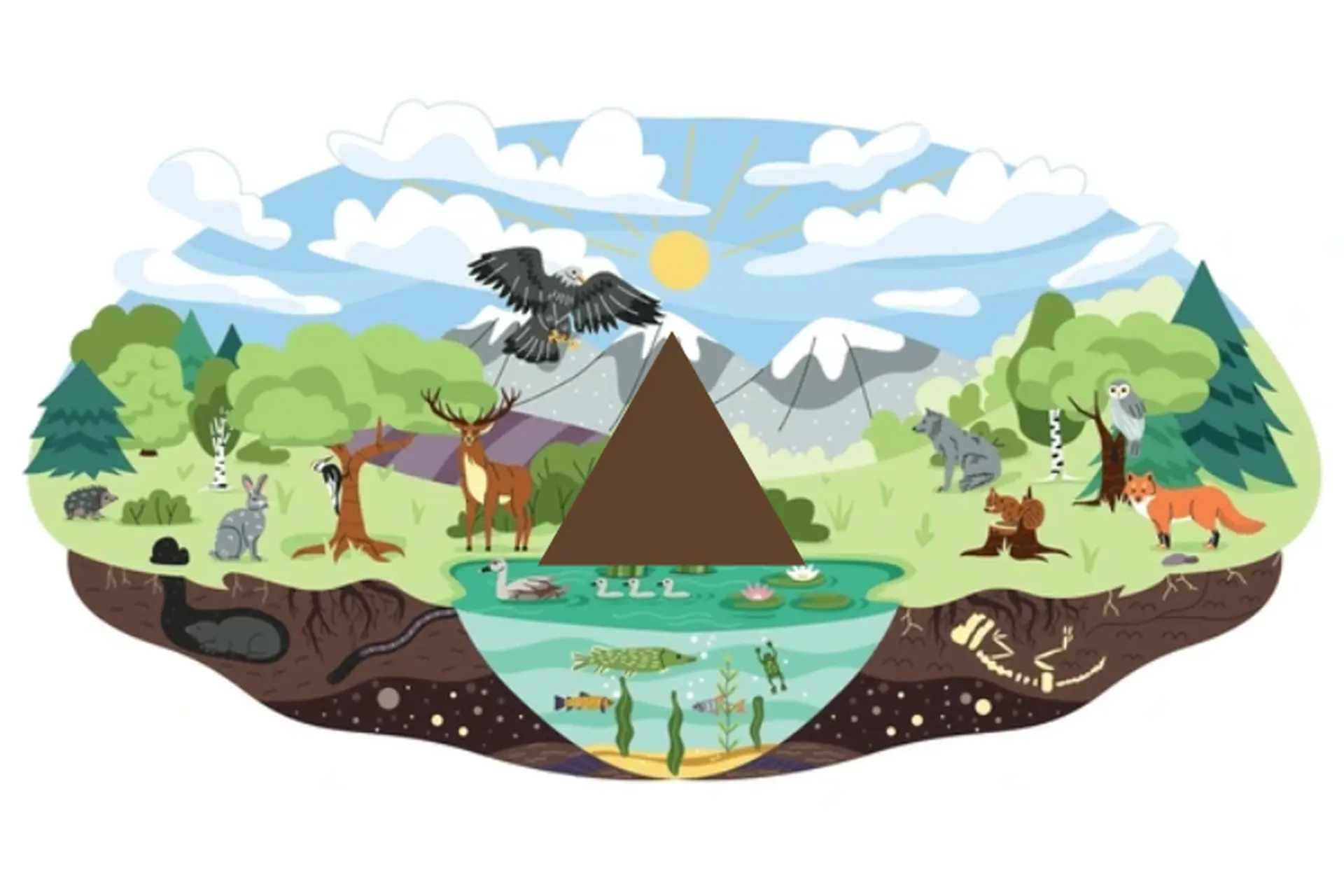 Nhân tố sinh thái là gì? Có ảnh hưởng gì đến môi trường sống?