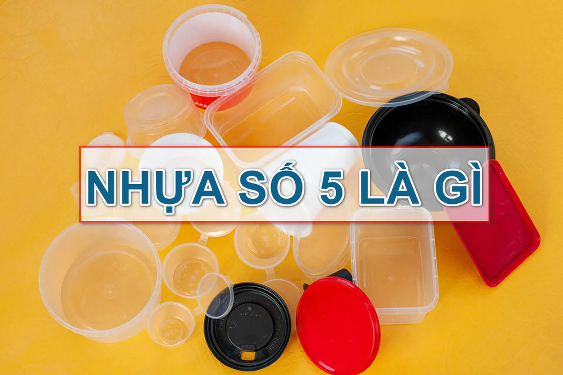 Tất tần tật về nhựa số 5: Tại sao lại được ưa chuộng trong sản xuất hàng gia dụng?