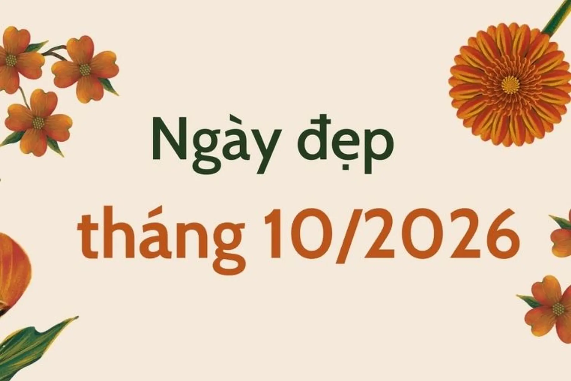 Những ngày đẹp tháng 10/2026: Lịch tốt theo phong thủy, chọn ngày lành làm việc quan trọng