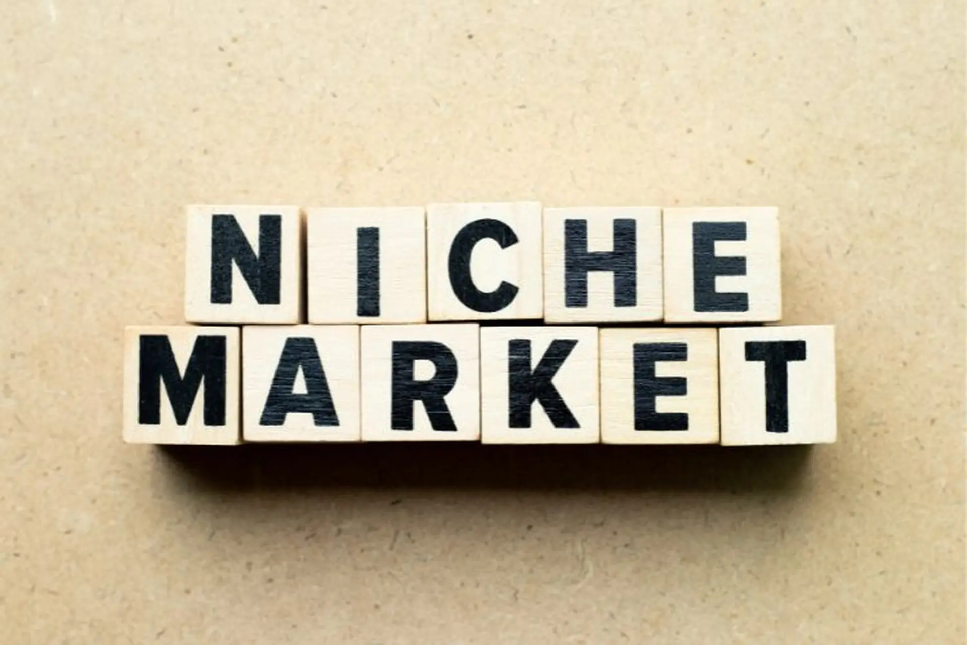 Niche market là gì? Làm thế nào để tiếp cận hiệu quả đến thị trường ngách?