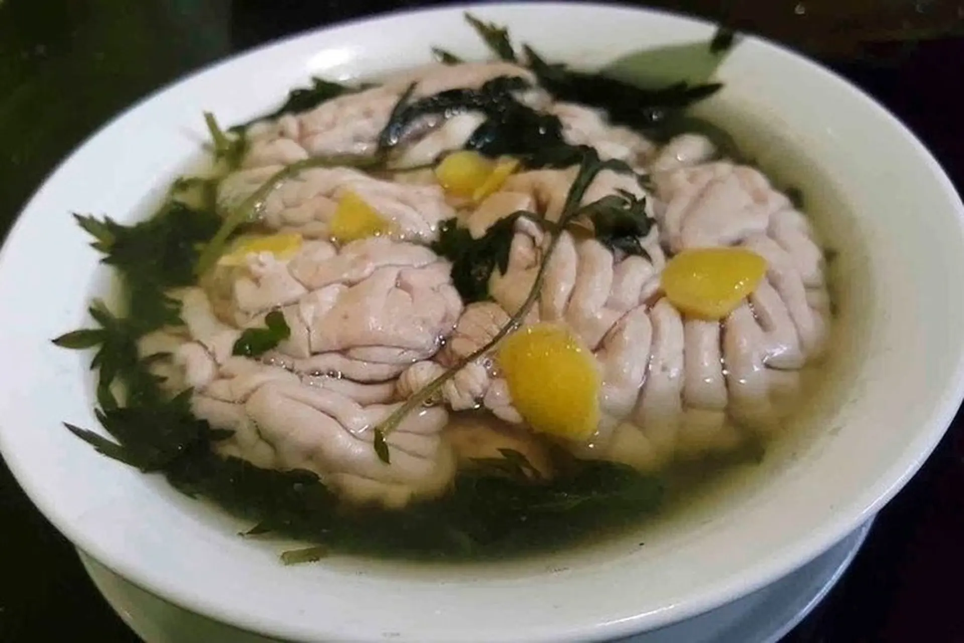Óc bò: Mách bạn cách chế biến món ngon từ óc bò vừa bổ dưỡng, vừa sạch sẽ, không tanh