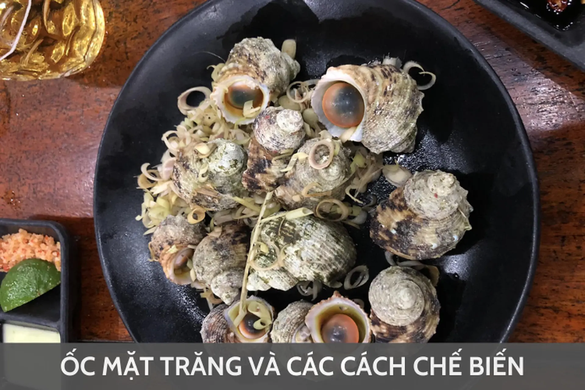 Ốc mặt trăng là ốc gì? Hướng dẫn cách nhận biết và gợi ý những món ngon chế biến từ ốc mặt trăng