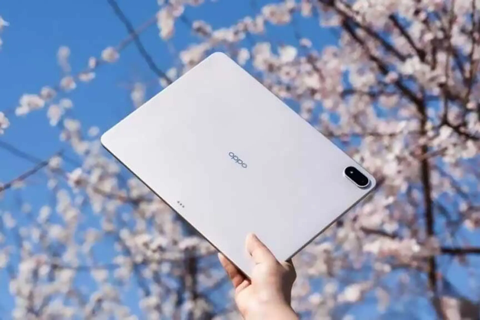 OPPO Pad Mini lộ thông số chính: Tablet nhỏ gọn trang bị Snapdragon 8 Gen 5