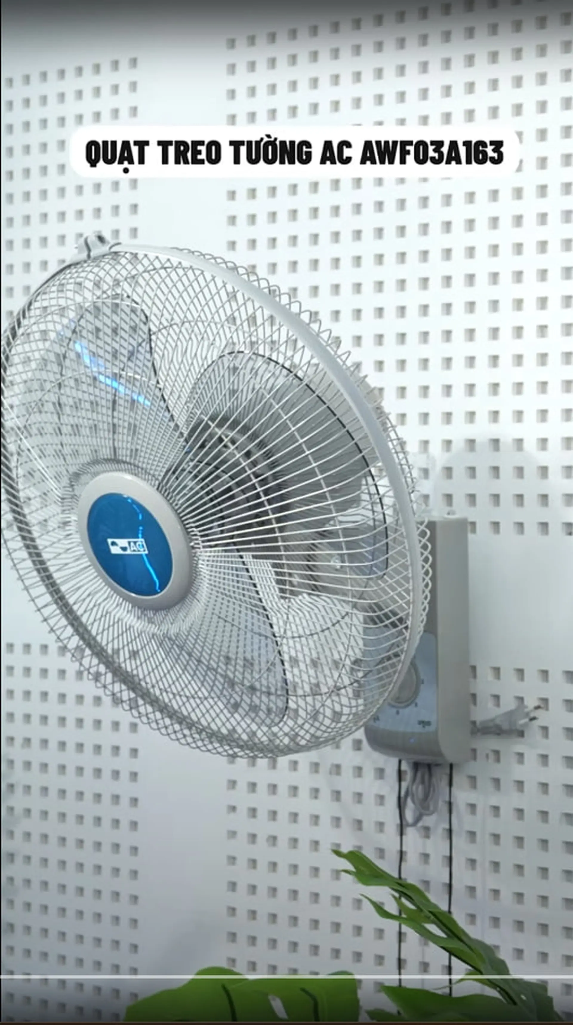 Quạt treo tường AC AWF03A1632 và Quạt đứng AC ASF05A163