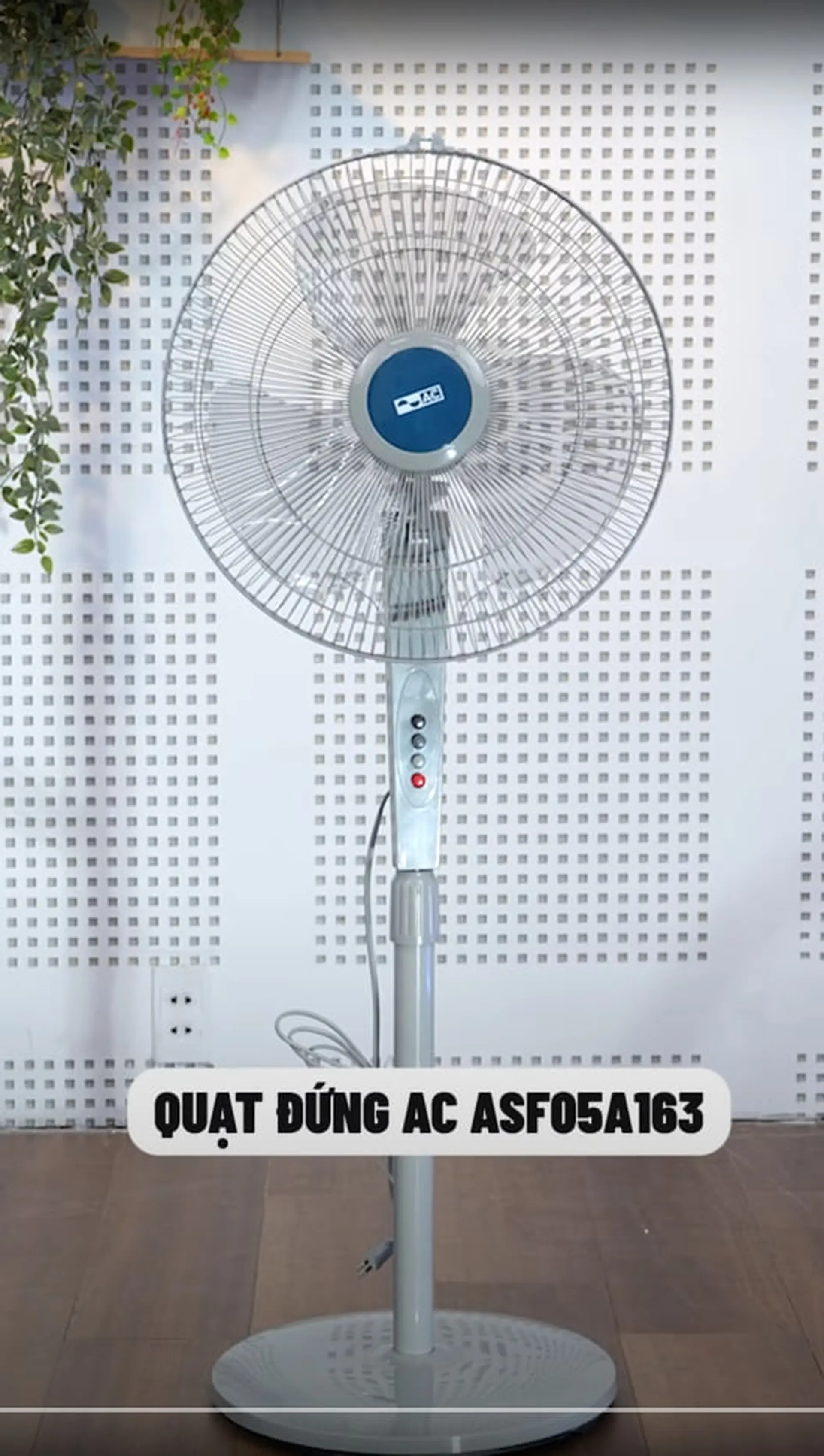 Quạt treo tường AC AWF03A1632 và Quạt đứng AC ASF05A163