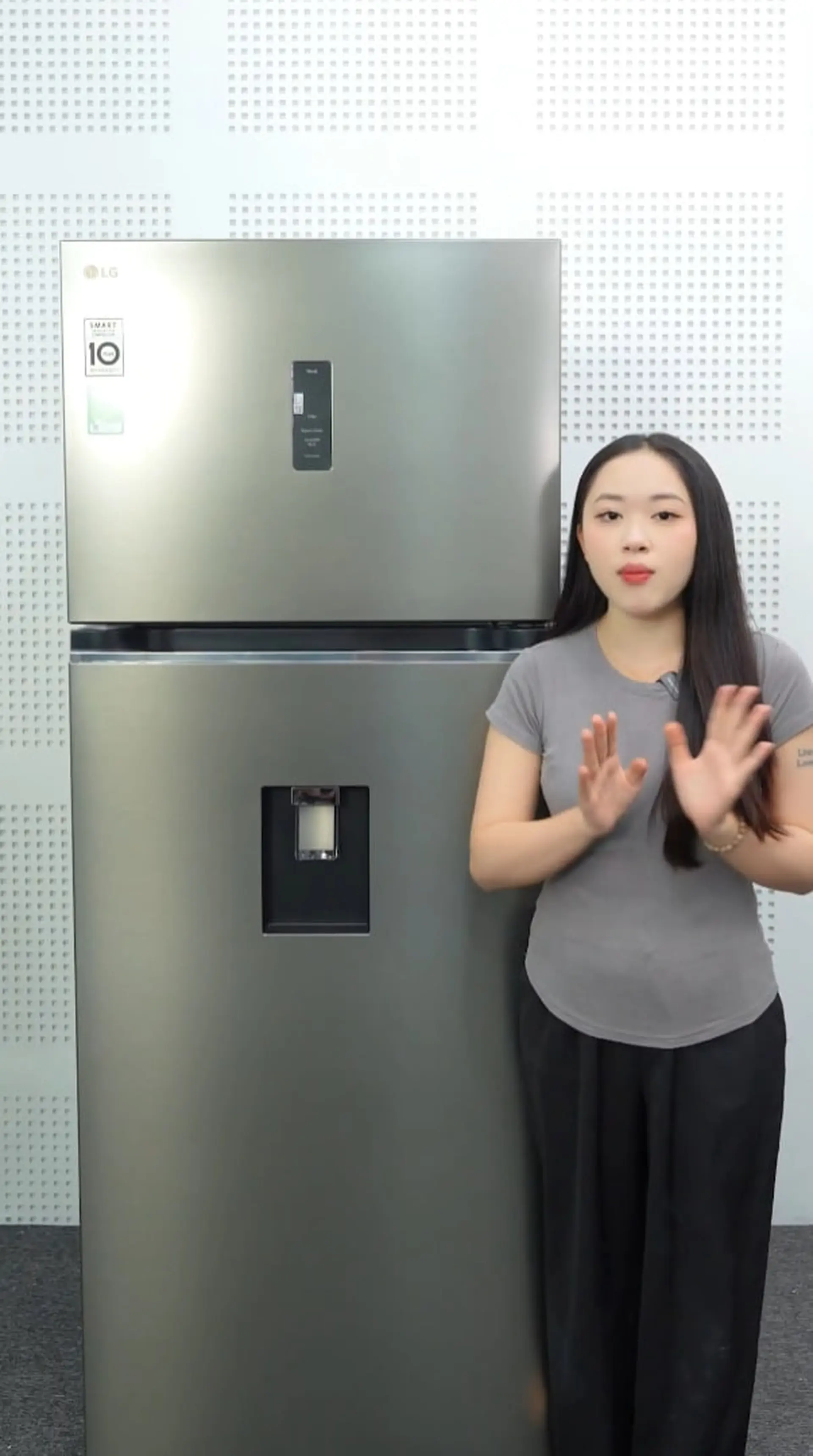 LG Inverter 459 lít LTD46SVMA!!!