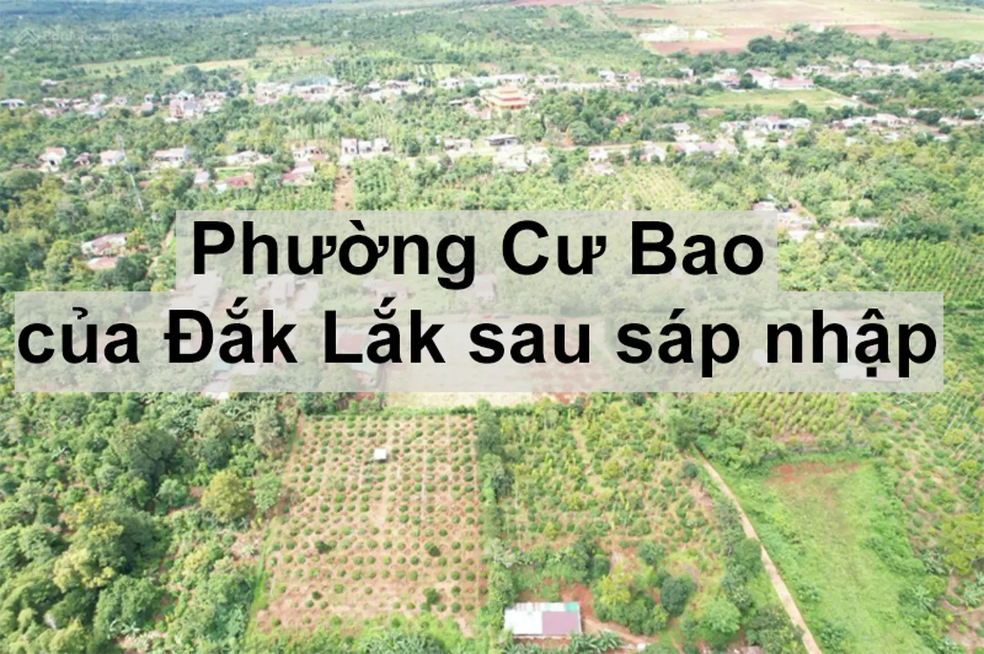 Phường Cư Bao của Đắk Lắk sau sáp nhập: Hướng đến đô thị phát triển, bản sắc và hiện đại