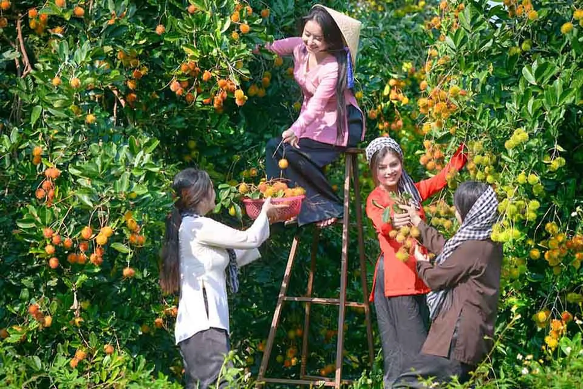 Phường Thanh Đức của Vĩnh Long sau sáp nhập: Đổi mới hành chính, kinh tế và văn hóa địa phương