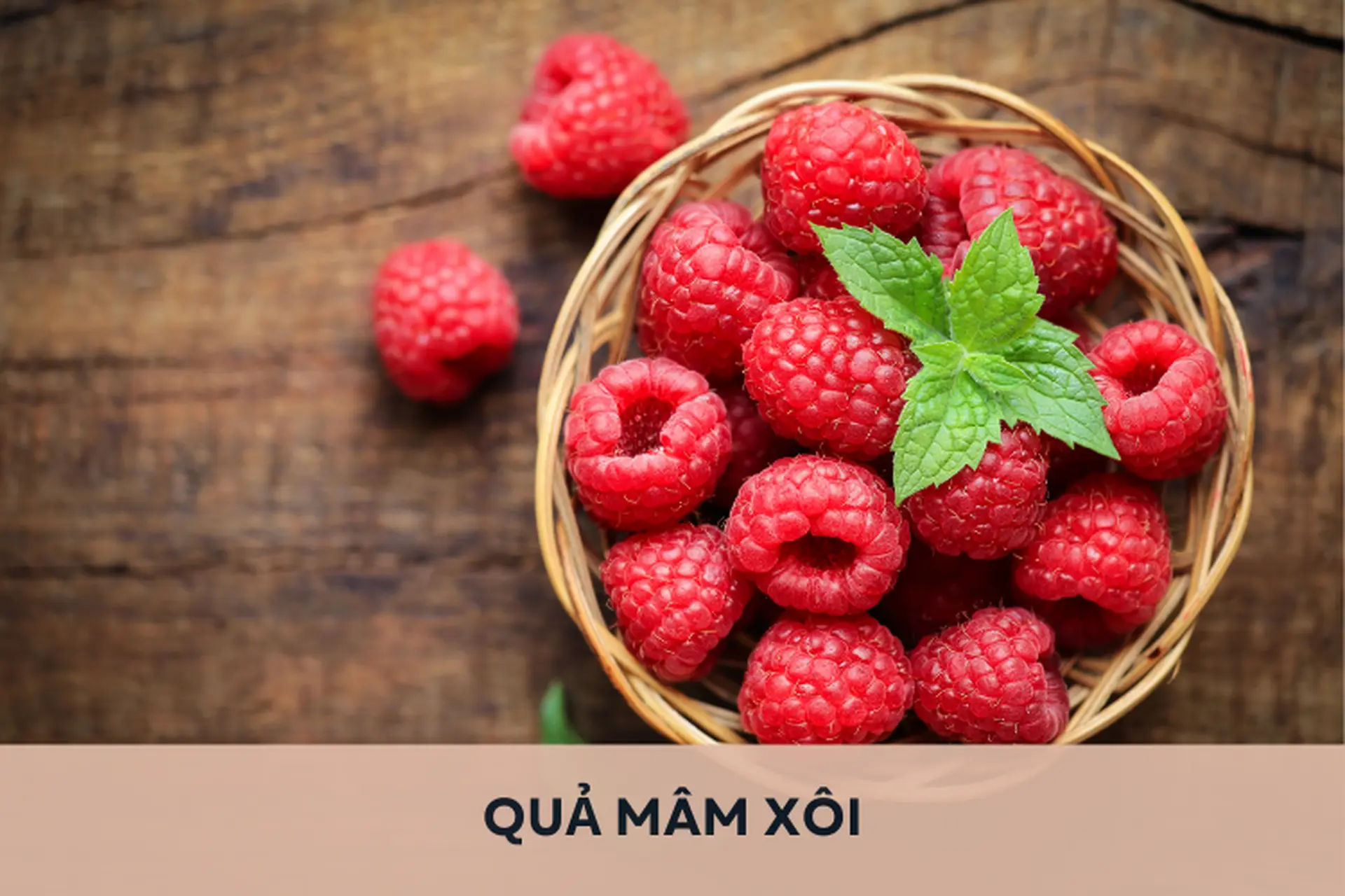 Tìm hiểu về quả mâm xôi: Đặc điểm, công dụng và những món ngon được chế biến từ quả mâm xôi