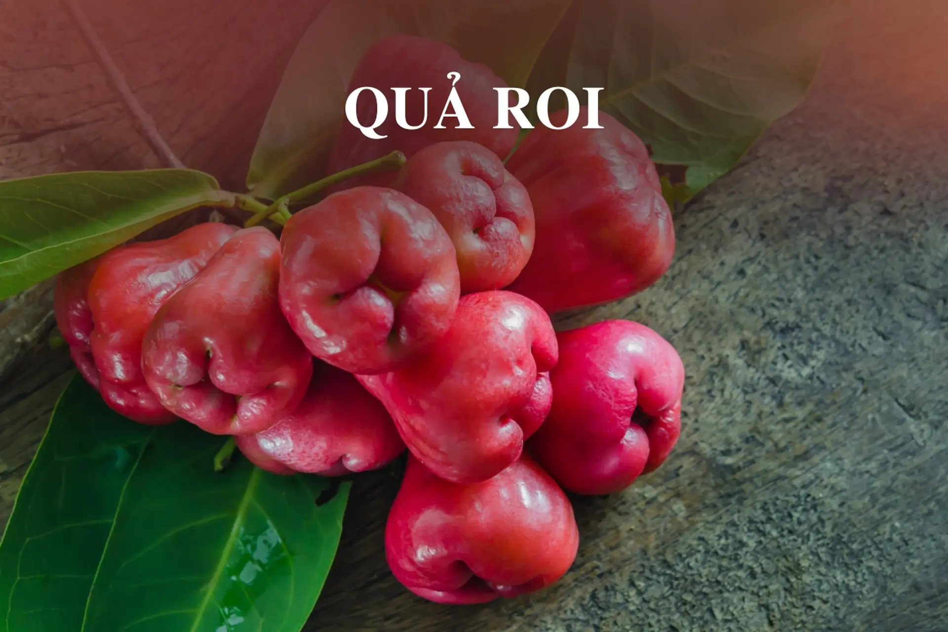 Quả roi – Khám phá công dụng tuyệt vời với sức khỏe, cách ăn đúng và lưu ý khi sử dụng