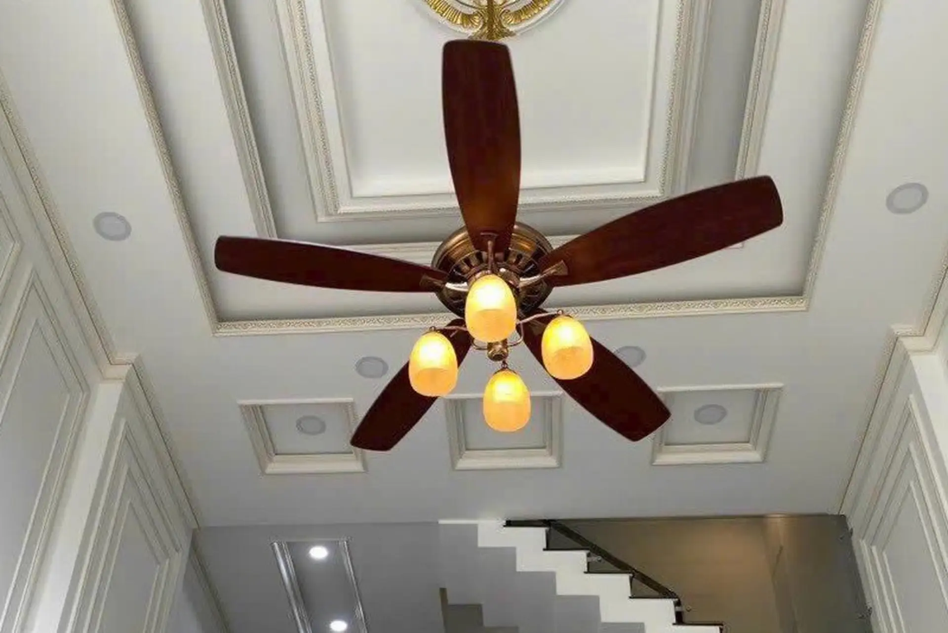 Sự thật quạt trần Mr.Vu có tốt không? Liệu có xứng đáng để đầu tư cho ngôi nhà?