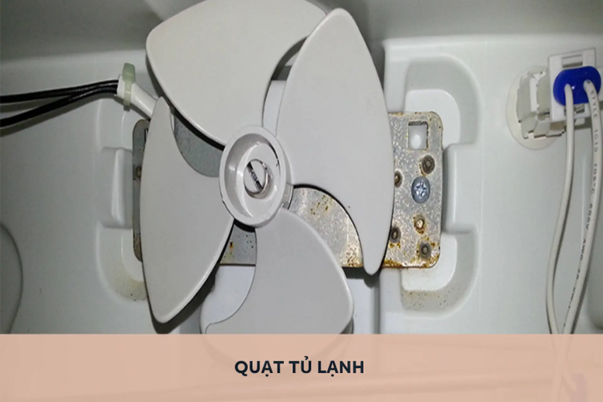 Quạt tủ lạnh bị hỏng: Nguyên nhân và hướng dẫn cách thay quạt tủ lạnh đơn giản tại nhà