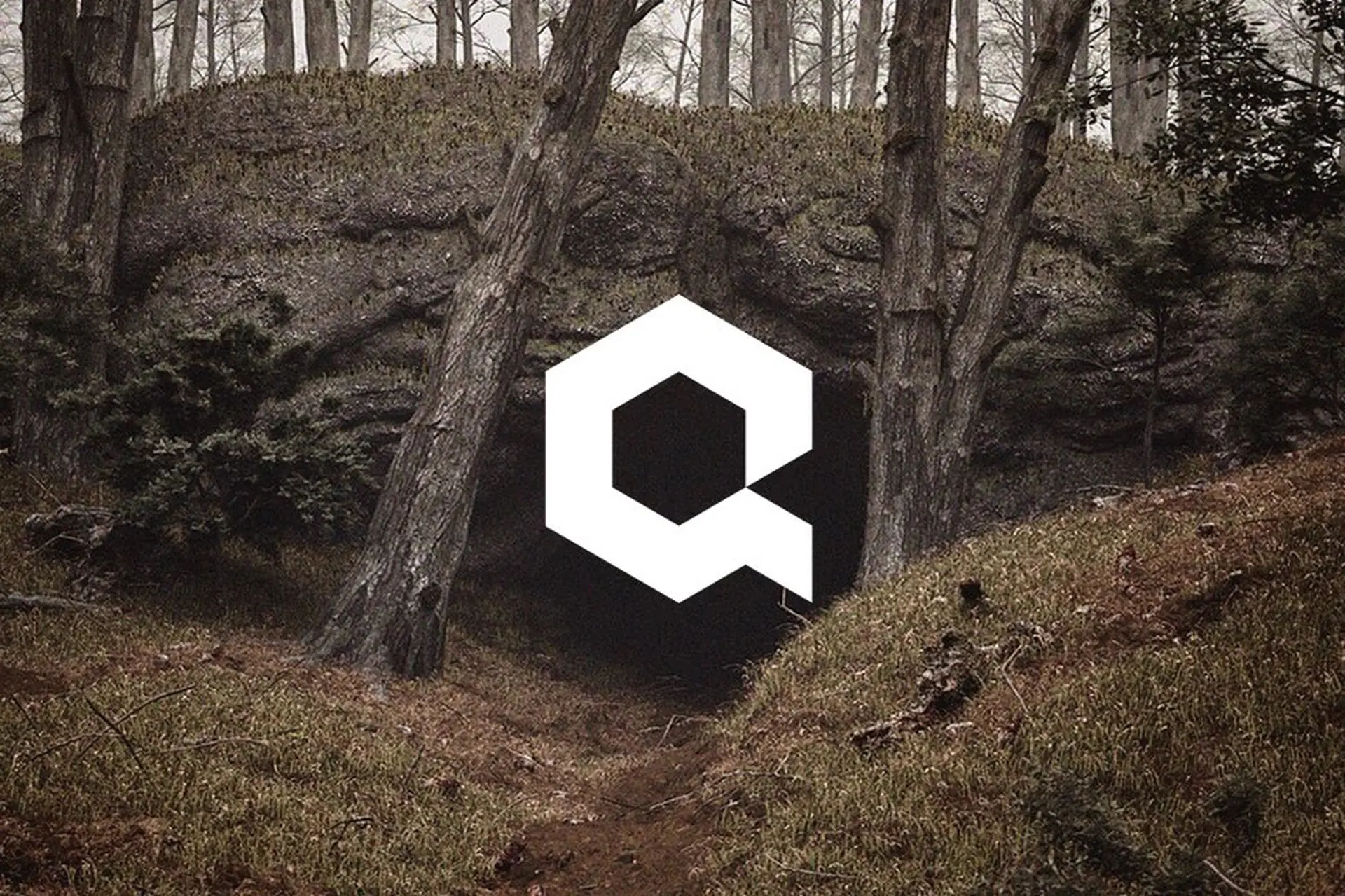 Khám phá Quixel: Kho dữ liệu Megascans khổng lồ đáp ứng cả ngành công nghiệp sáng tạo