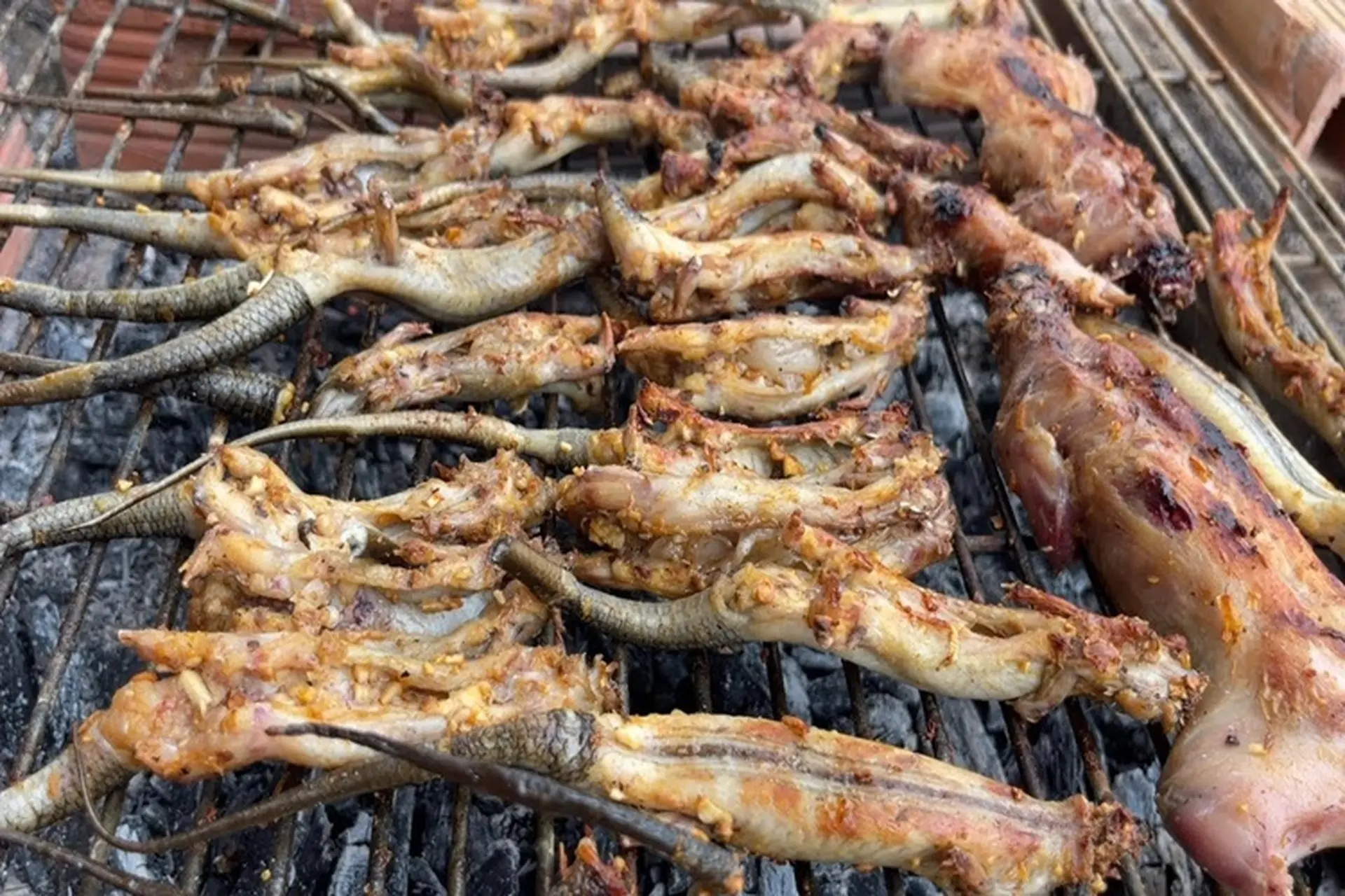 Hướng dẫn cách làm rắn mối nướng: Món đặc sản lạ miệng độc đáo không thể bỏ qua