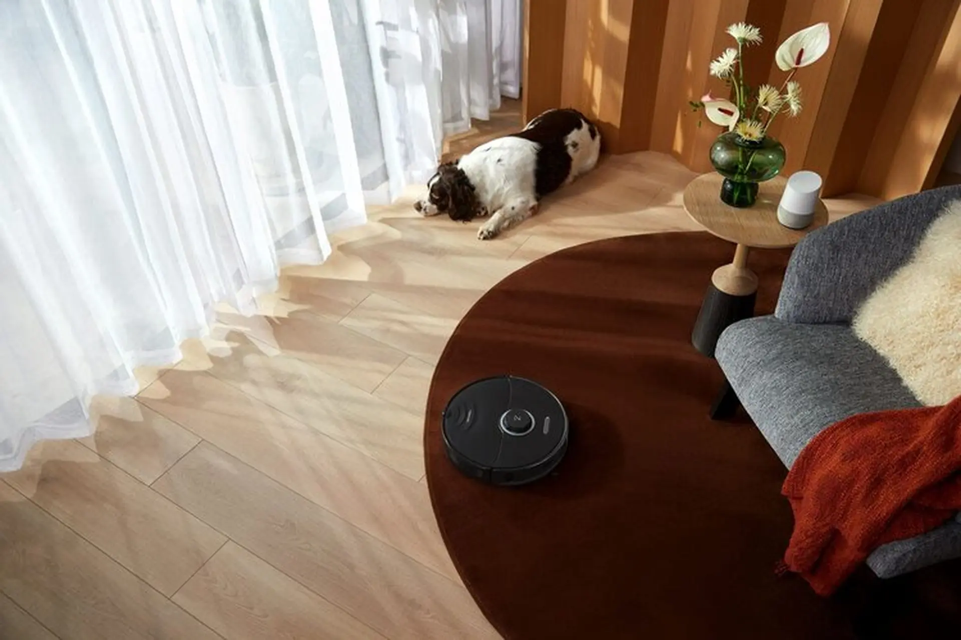 Robot hút bụi chạy loạn không định vị là lỗi gì? Tìm hiểu dấu hiệu, nguyên do và cách sửa lỗi
