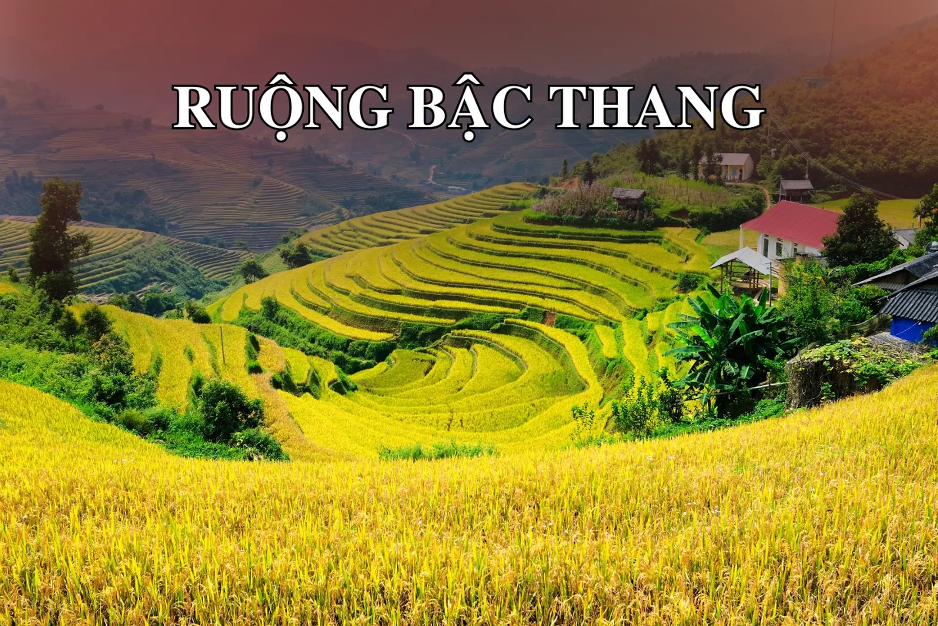 Ruộng bậc thang Việt Nam: Khám phá vẻ đẹp kỳ vĩ và di sản văn hóa độc đáo trên những "nấc thang vàng"
