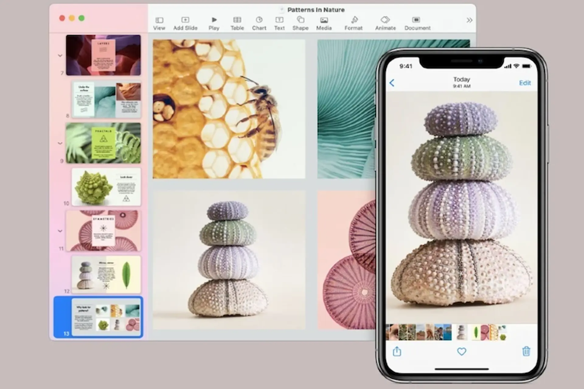Sao chép và dán giữa các thiết bị từ máy Mac nhanh chóng, tối ưu thao tác giữa iPhone, iPad và MacBook