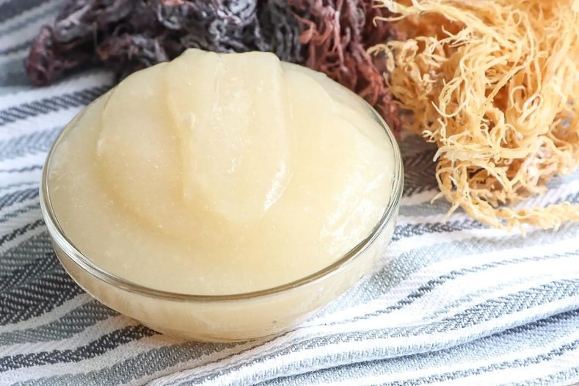 Sea moss gel là gì? Sea moss gel có tác dụng gì? Hướng dẫn cách làm chi tiết tại nhà