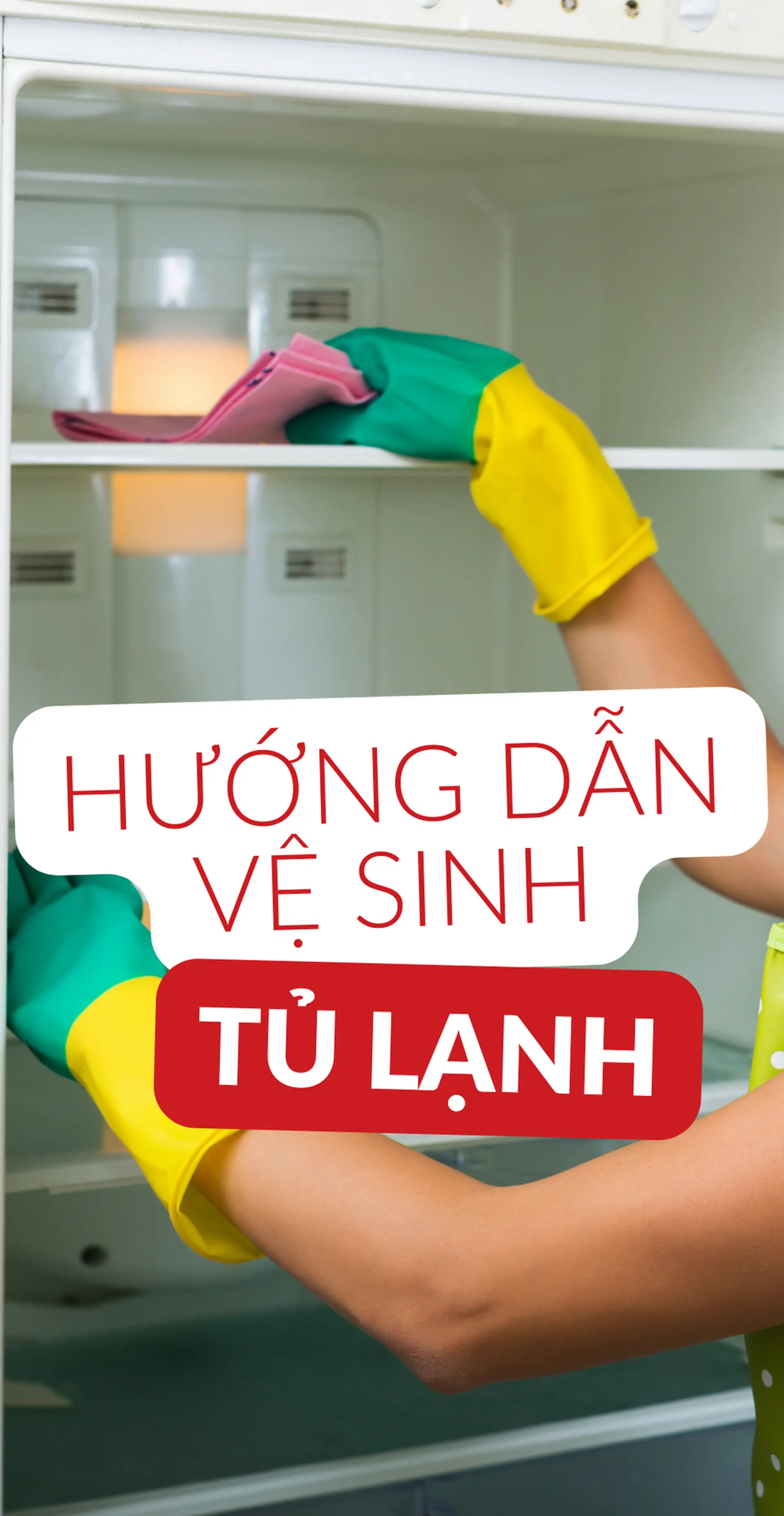 Hướng dẫn vệ sinh tủ lạnh đúng cách