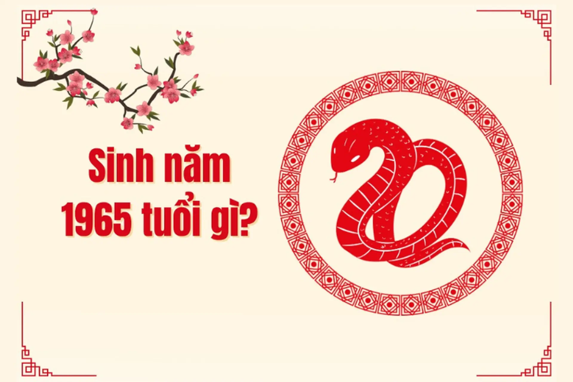 Người sinh năm 1965 tuổi gì? Mệnh nào? Tuổi Ất Tỵ hợp hướng nào, tuổi nào để làm ăn?