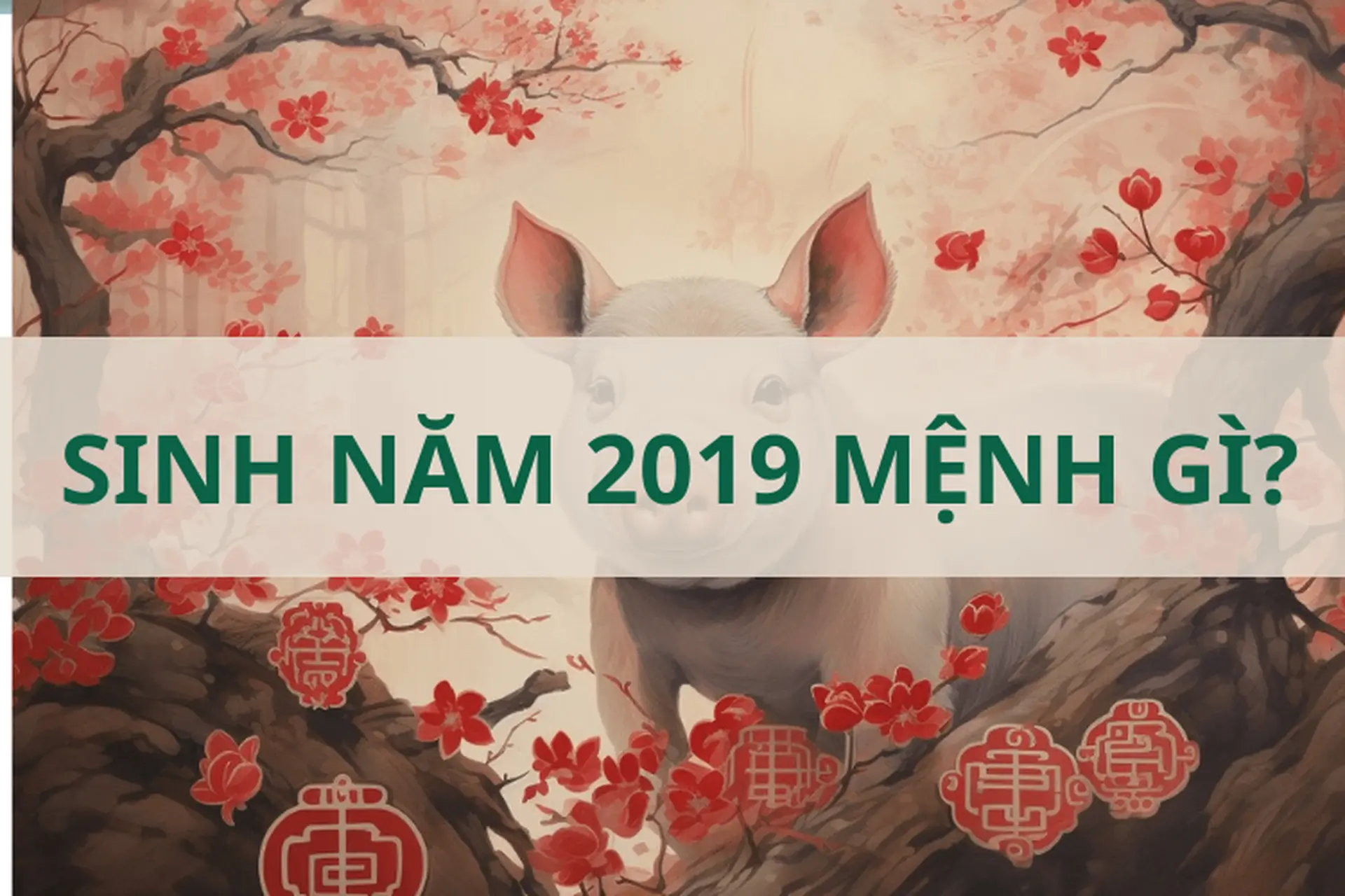Sinh năm 2019 mệnh gì? Hợp và kỵ màu gì? Khám phá tất tần tật về người tuổi Kỷ Hợi 2019