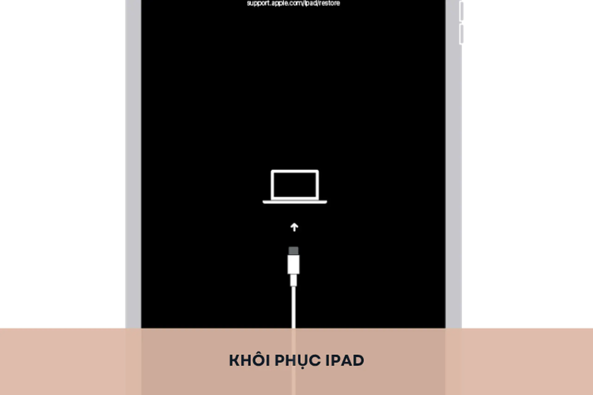 Hướng dẫn chi tiết các cách khôi phục iPad an toàn, nhanh chóng, không cần nhiều kinh nghiệm