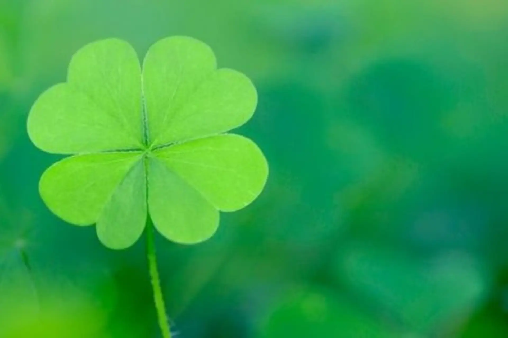 Tổng hợp những lời chúc bình an, may mắn ngắn gọn và ý nghĩa dành cho người thân yêu