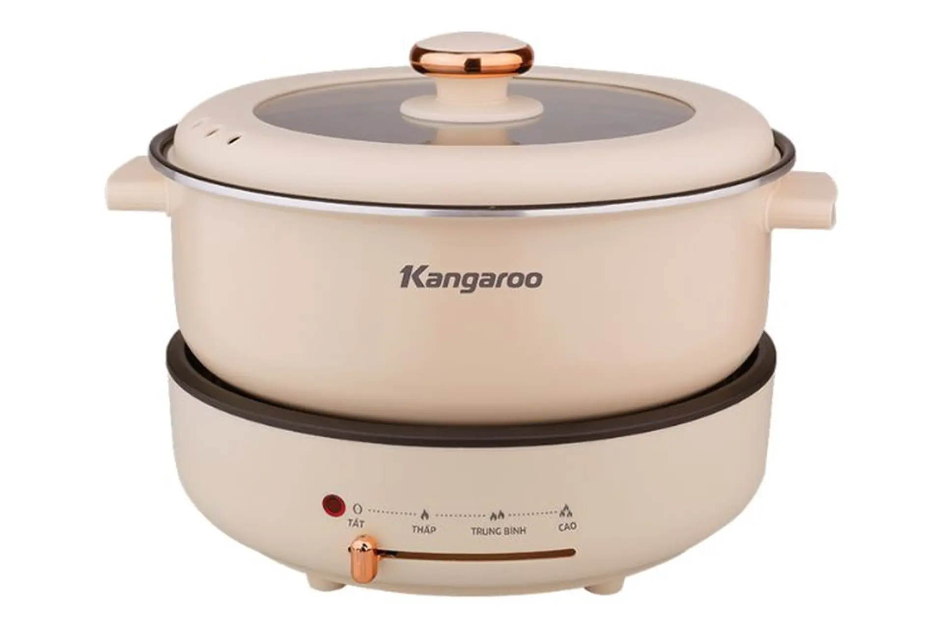 Nồi lẩu điện nào tốt nhất 2025? Gợi ý các sản phẩm chất lượng nhất và có giá ưu đãi