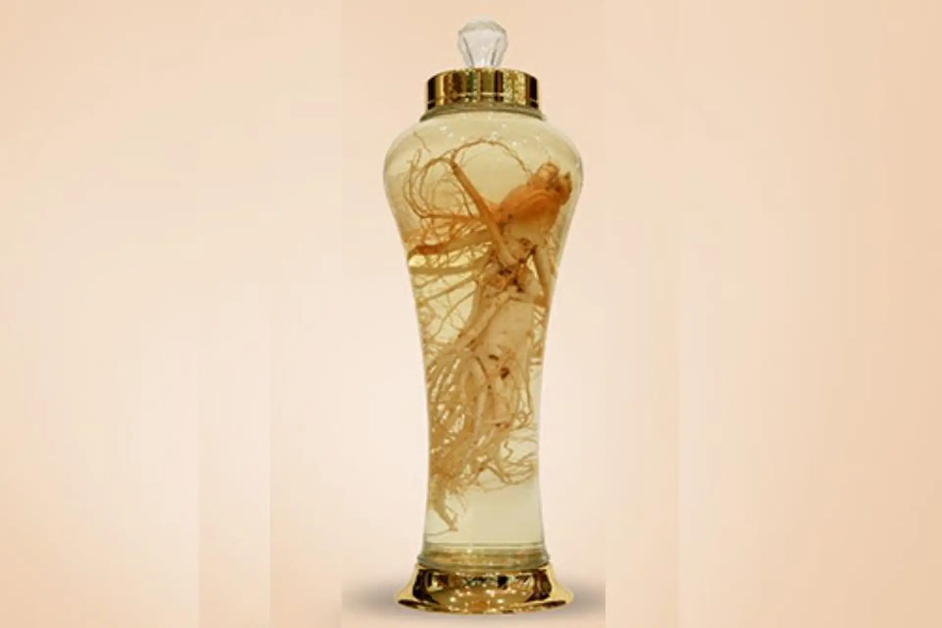 Sâm ngâm rượu có tác dụng gì? Chia sẻ cho bạn cách ngâm rượu sâm chuẩn nhất 